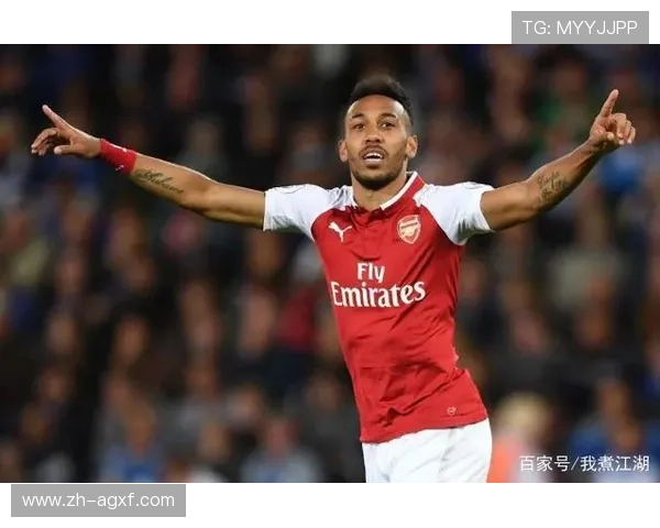 法甲比赛胜负的影响因素研究：天气、场地与判罚变量