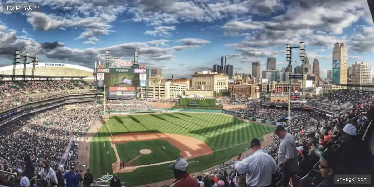 ⚽️点燃热血，巅峰对决！2025 全球足球锦标赛官网，等你来战！🔥🏆