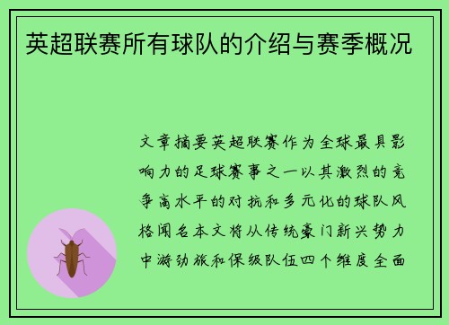 英超联赛所有球队的介绍与赛季概况
